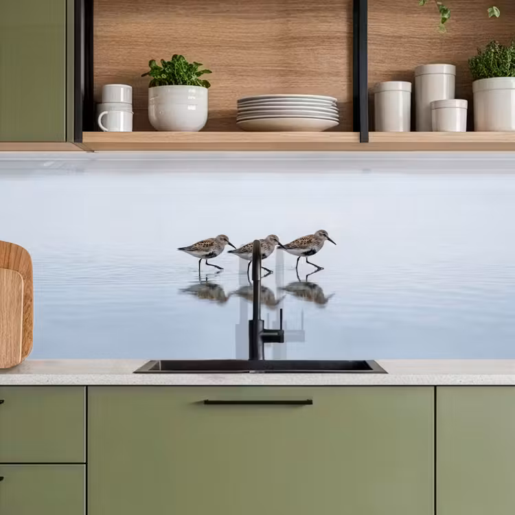 Keuken achterwand - Vogels - Water - Grijs — 5