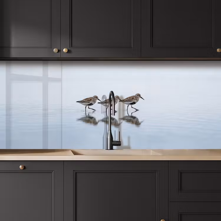 Keuken achterwand - Vogels - Water - Grijs — 6