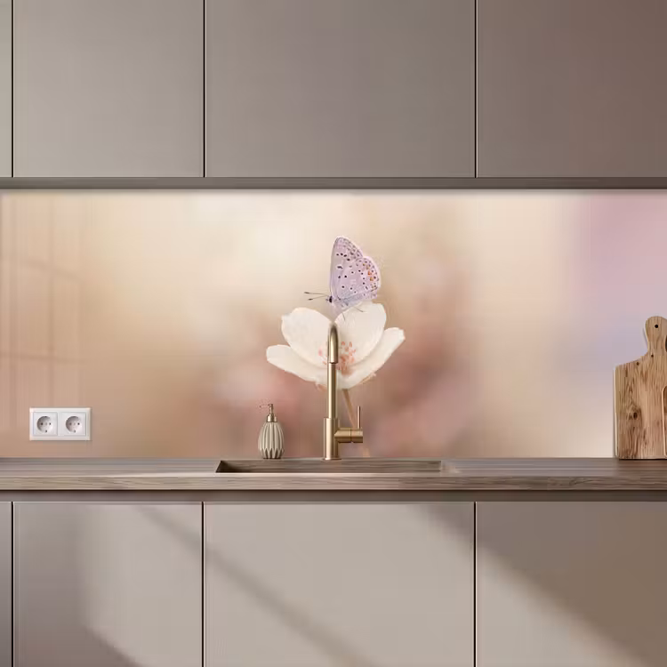 Keuken achterwand - Vlinder - Bloem - Blauw — 1