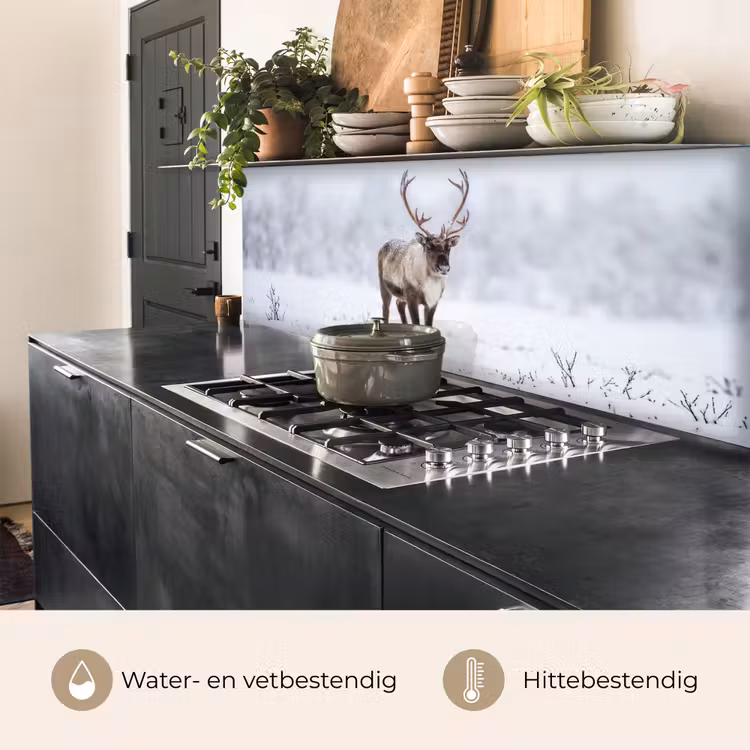Keuken achterwand - Rendier - Gewei - Toendra - Sneeuw - Wild — 3