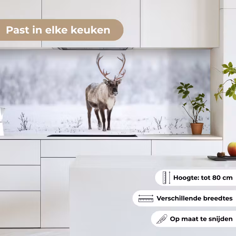 Keuken achterwand - Rendier - Gewei - Toendra - Sneeuw - Wild — 4