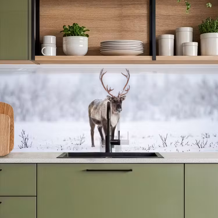 Keuken achterwand - Rendier - Gewei - Toendra - Sneeuw - Wild — 5