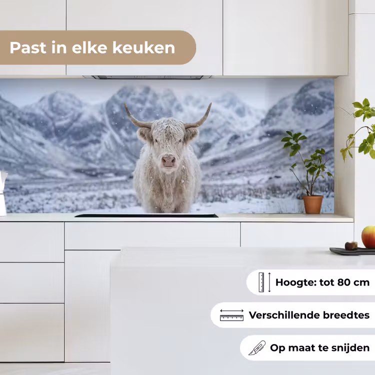 Keuken achterwand - Schotse Hooglander - Sneeuw - Bergen - Winter — 4