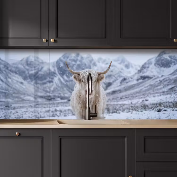 Keuken achterwand - Schotse Hooglander - Sneeuw - Bergen - Winter — 6