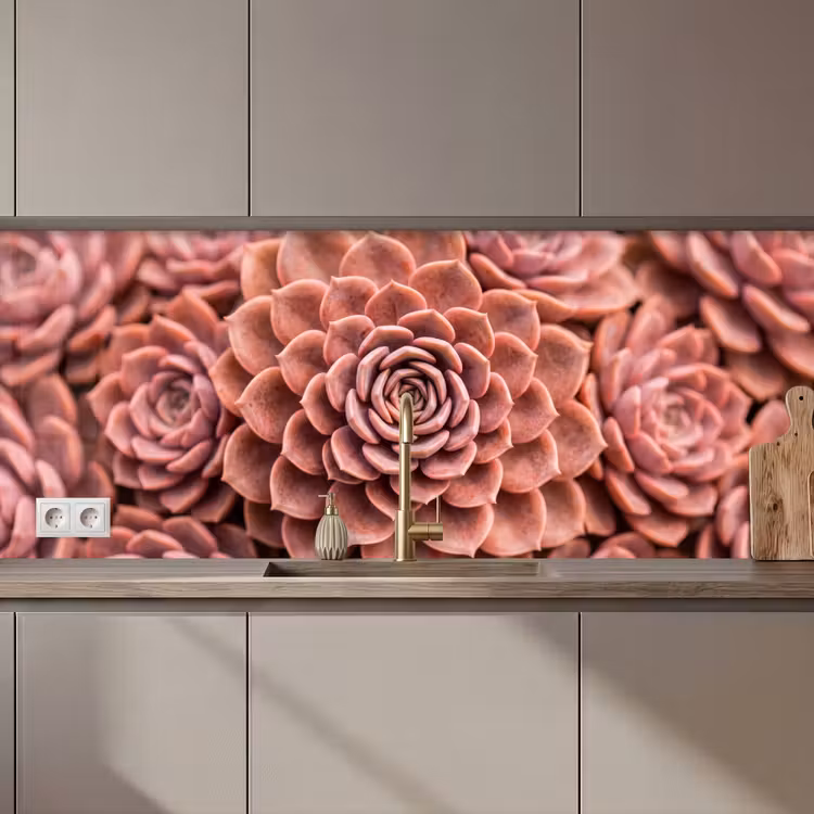 Keuken achterwand - Vetplant - Organisch - Roze — 1