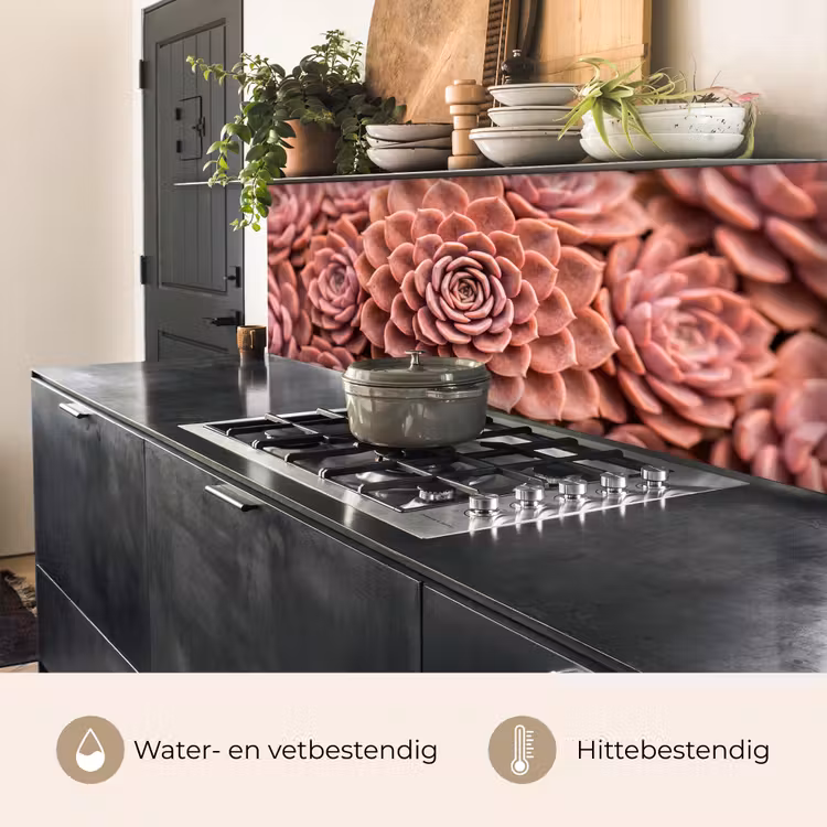 Keuken achterwand - Vetplant - Organisch - Roze — 3