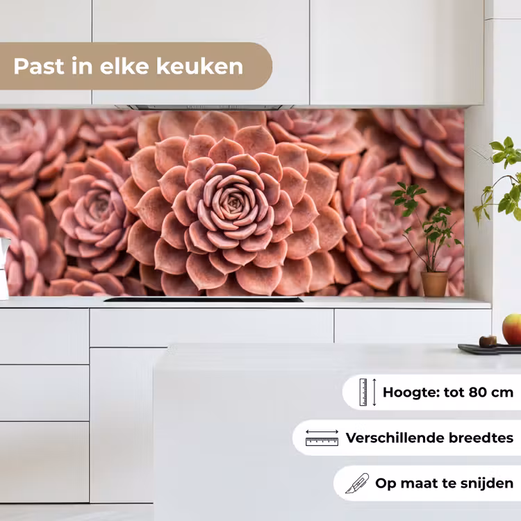 Keuken achterwand - Vetplant - Organisch - Roze — 4