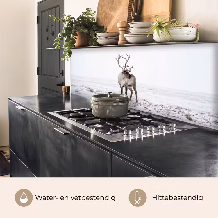 Keuken achterwand - Rendier - Gewei - Sneeuw - Winter — 3