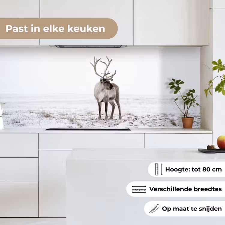 Keuken achterwand - Rendier - Gewei - Sneeuw - Winter — 4
