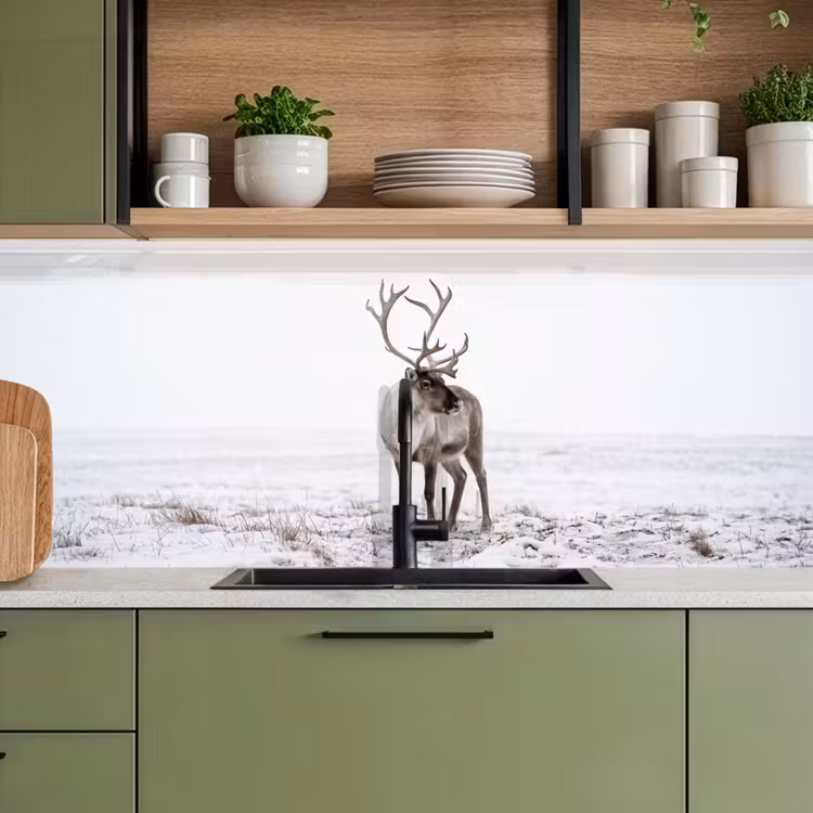 Keuken achterwand - Rendier - Gewei - Sneeuw - Winter — 5
