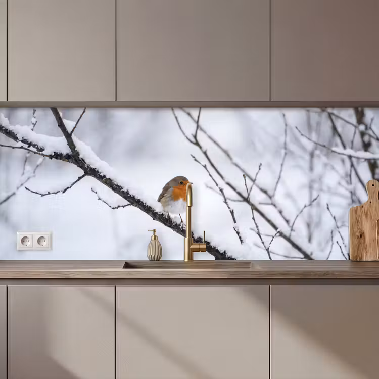 Keuken achterwand - Roodborstje - Tak - Sneeuw - Winter - Levendig — 1