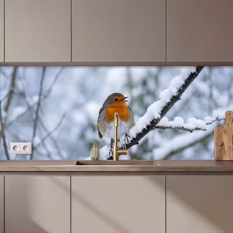 Keuken achterwand - Roodborstje - Tak - Sneeuw - Winter - Levendig — 1