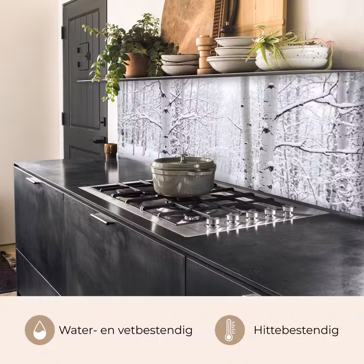 Keuken achterwand - Berkenbomen - Sneeuw - Winter - Bos - Wit — 3
