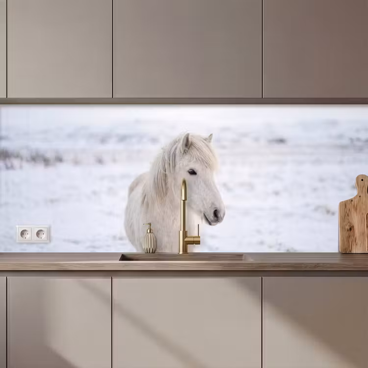Keuken achterwand - Paard - Kop - Winter - Dieren - Wit — 1
