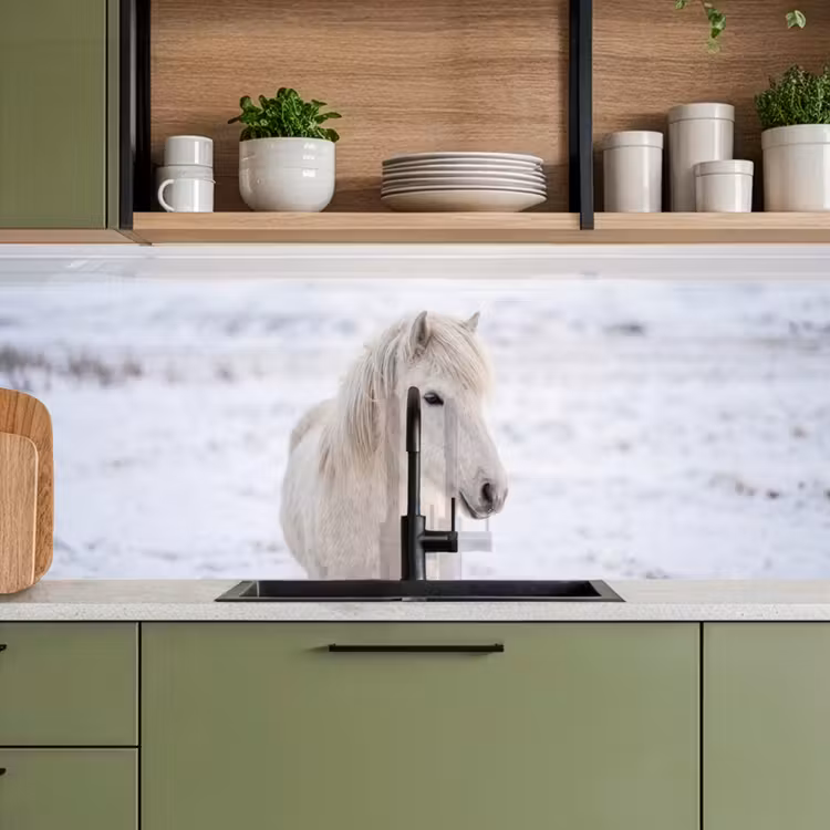 Keuken achterwand - Paard - Kop - Winter - Dieren - Wit — 5