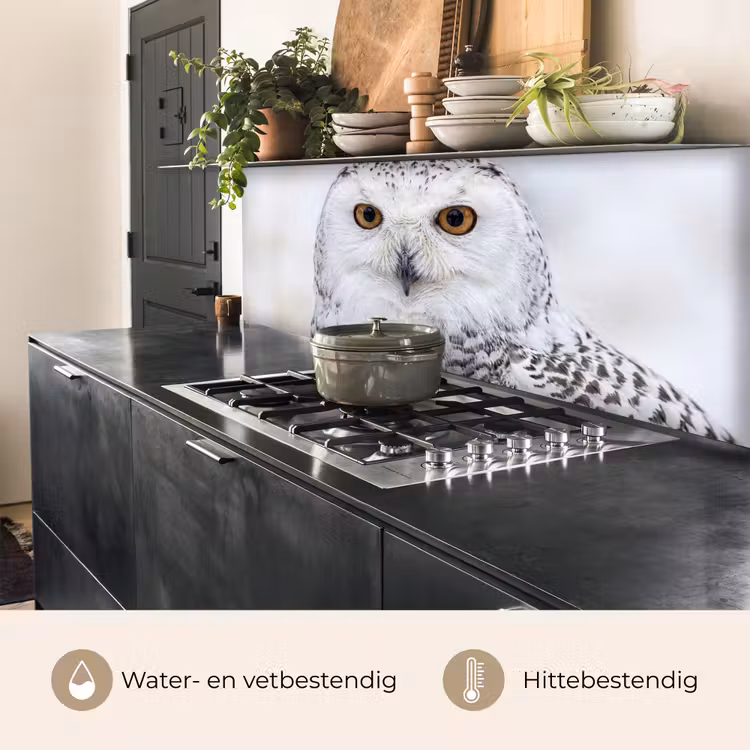 Keuken achterwand - Sneeuwuil - Oog - Wildlife - Wit — 3
