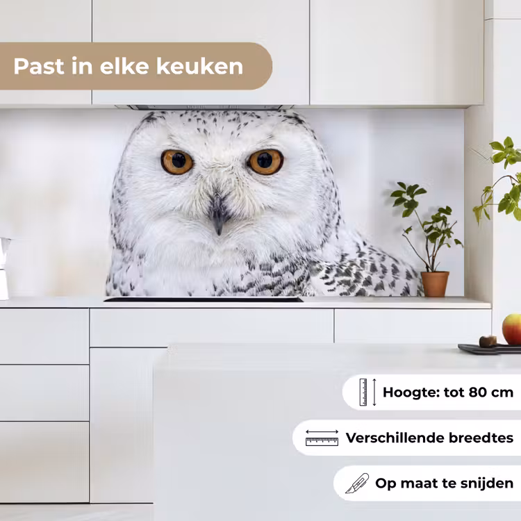 Keuken achterwand - Sneeuwuil - Oog - Wildlife - Wit — 4
