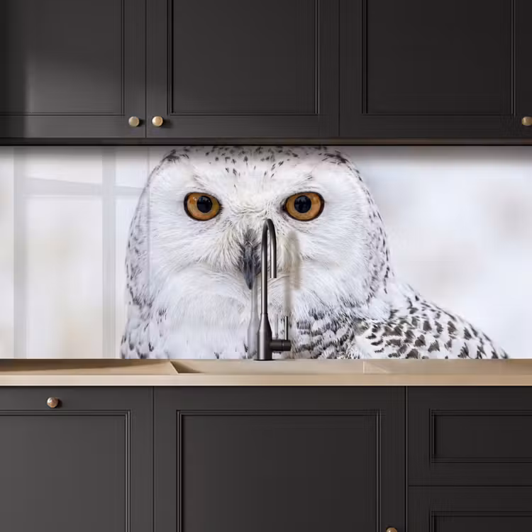 Keuken achterwand - Sneeuwuil - Oog - Wildlife - Wit — 6