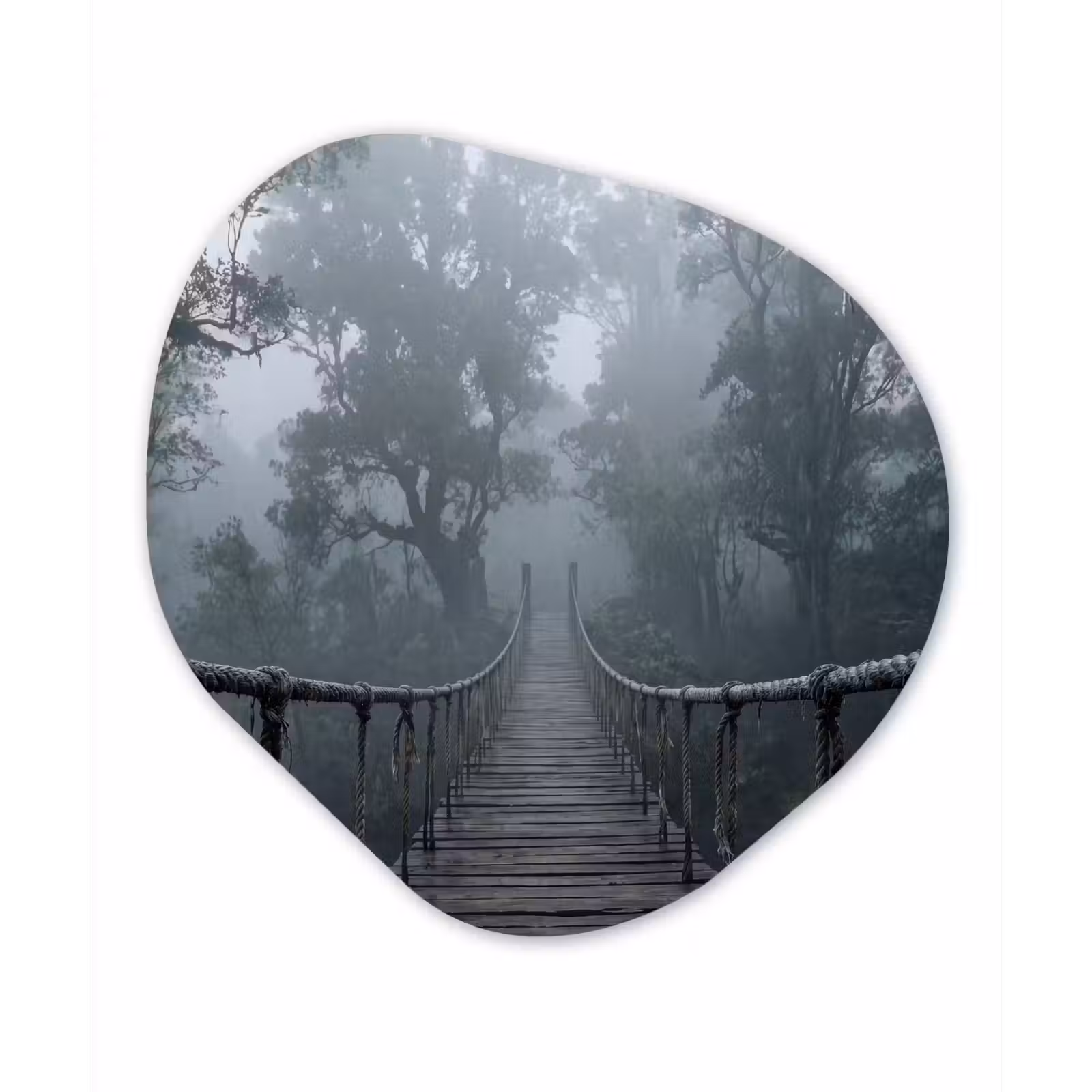Organische schilderij - Aluminium - Brug - Jungle - Mist - Natuur — 1