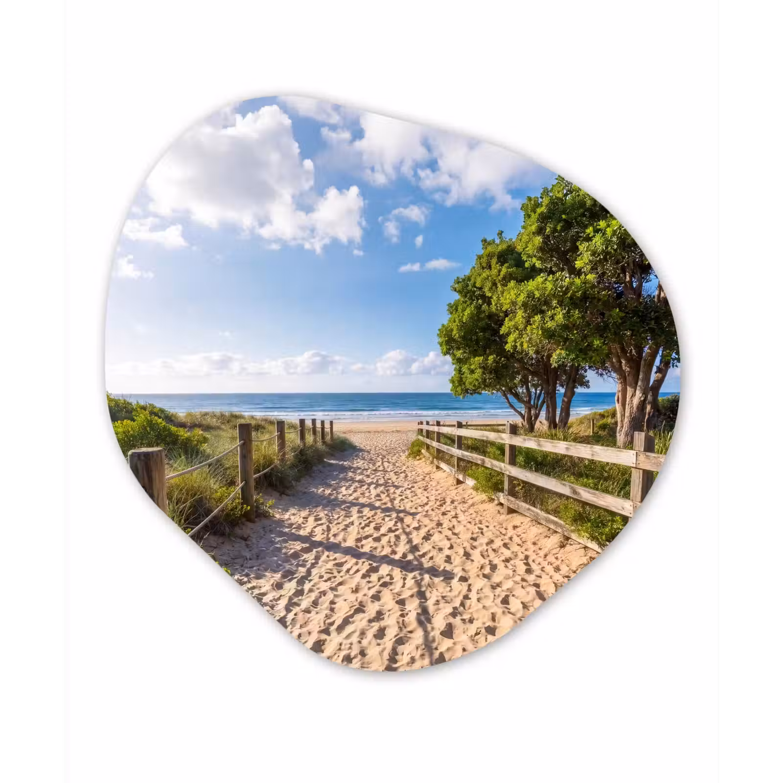 Organische schilderij - Aluminium - Strand - Zandpad - Oceaan - Natuur — 1