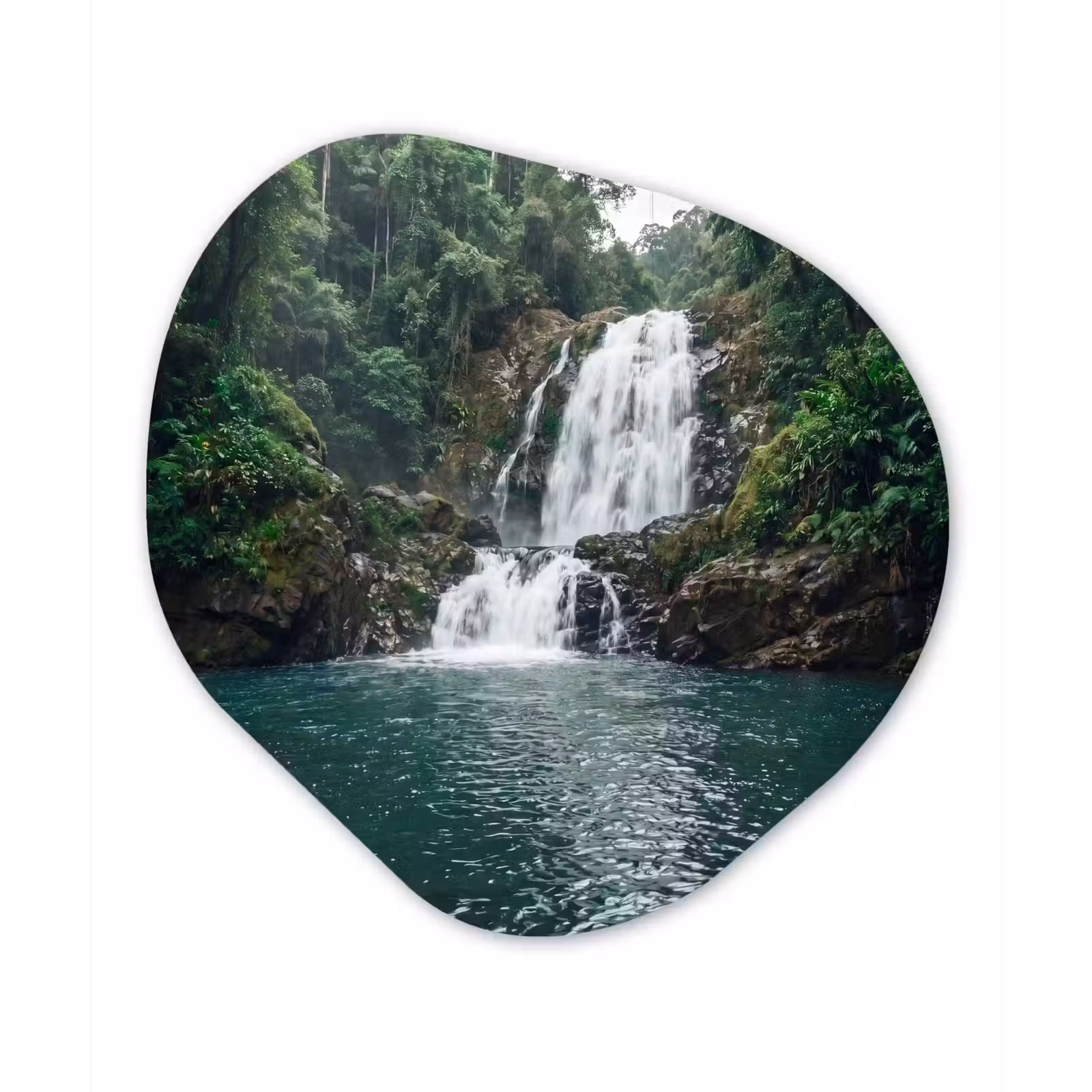 Organische schilderij - Aluminium - Waterfall - Forest - Nature - Greenkhgyguyg — 1