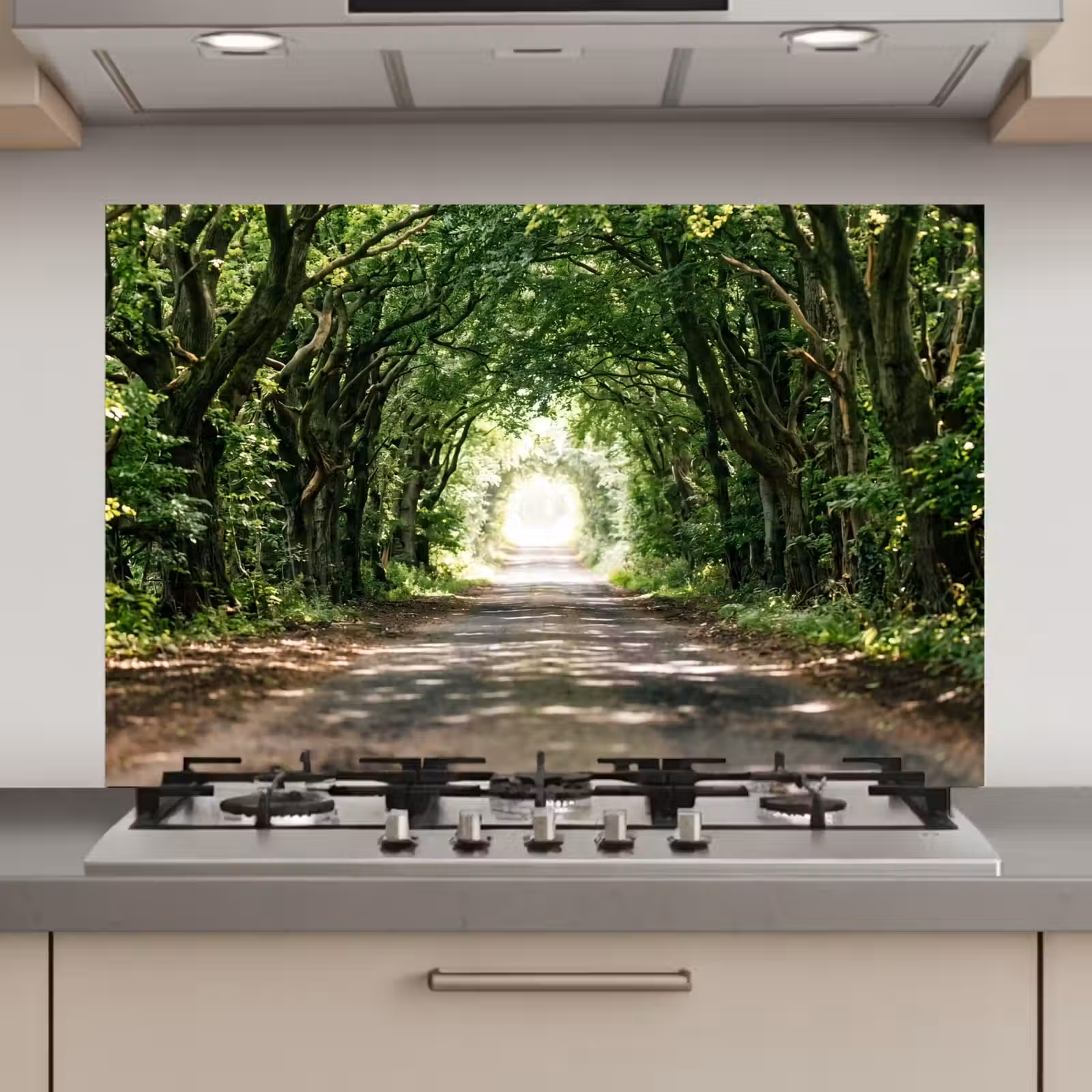 Spatscherm keuken - Weg - Bomen - Natuur - Groen — 1