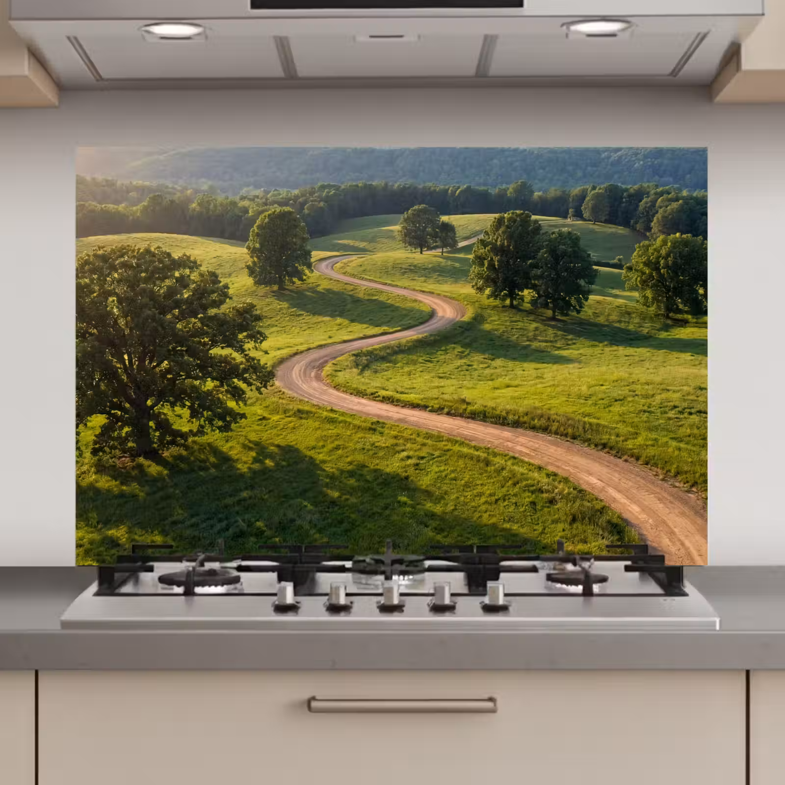 Spatscherm keuken - Weg - Weide - Natuur - Groen — 1