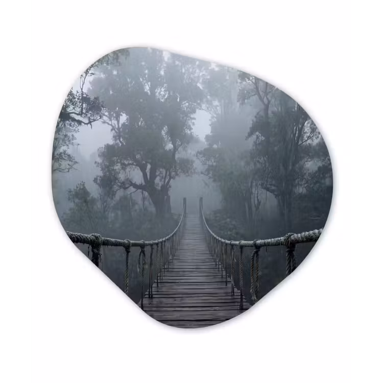 Organische schilderij - Aluminium - Brug - Jungle - Mist - Natuur — 1