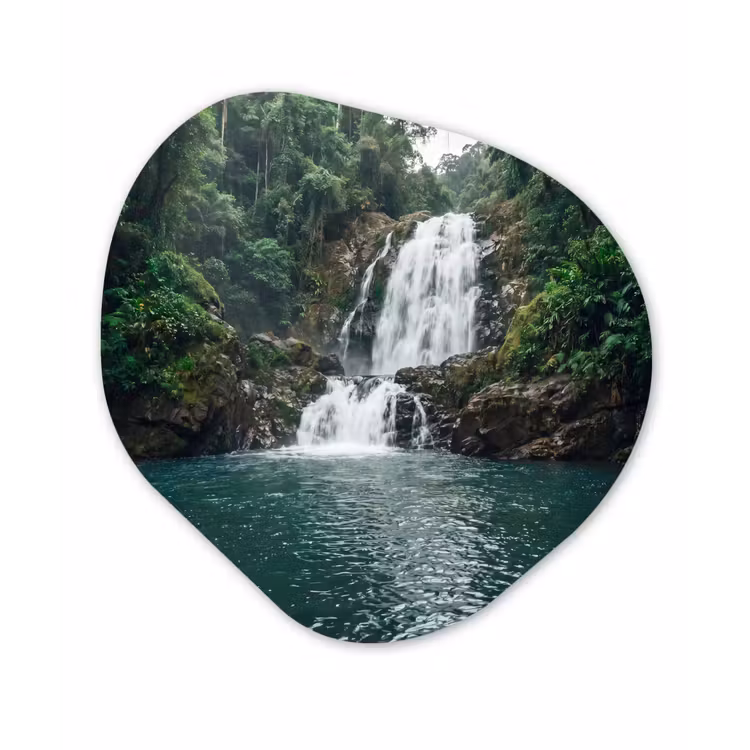 Organische schilderij - Aluminium - Waterfall - Forest - Nature - Greenkhgyguyg — 1