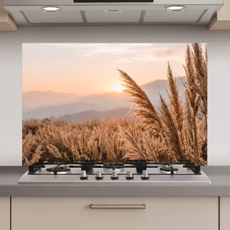 Spatscherm keuken - Gras - Veld - Zon - Natuur — 1
