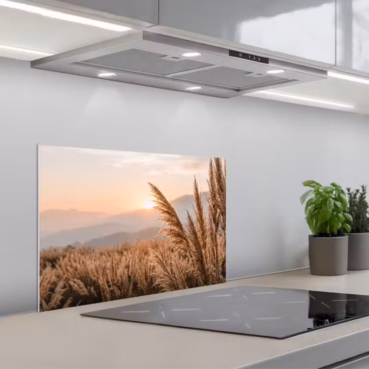 Spatscherm keuken - Gras - Veld - Zon - Natuur — 5