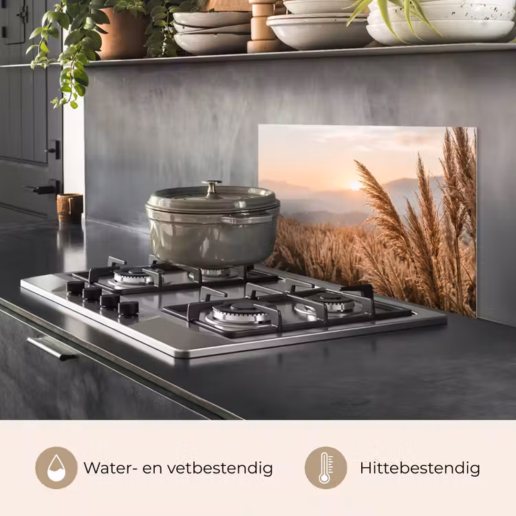Spatscherm keuken - Gras - Veld - Zon - Natuur — 7