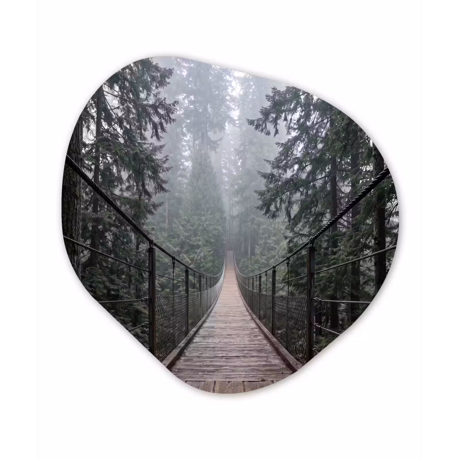 Organische schilderij - Aluminium - Brug - Bos - Mist - Natuur — 1