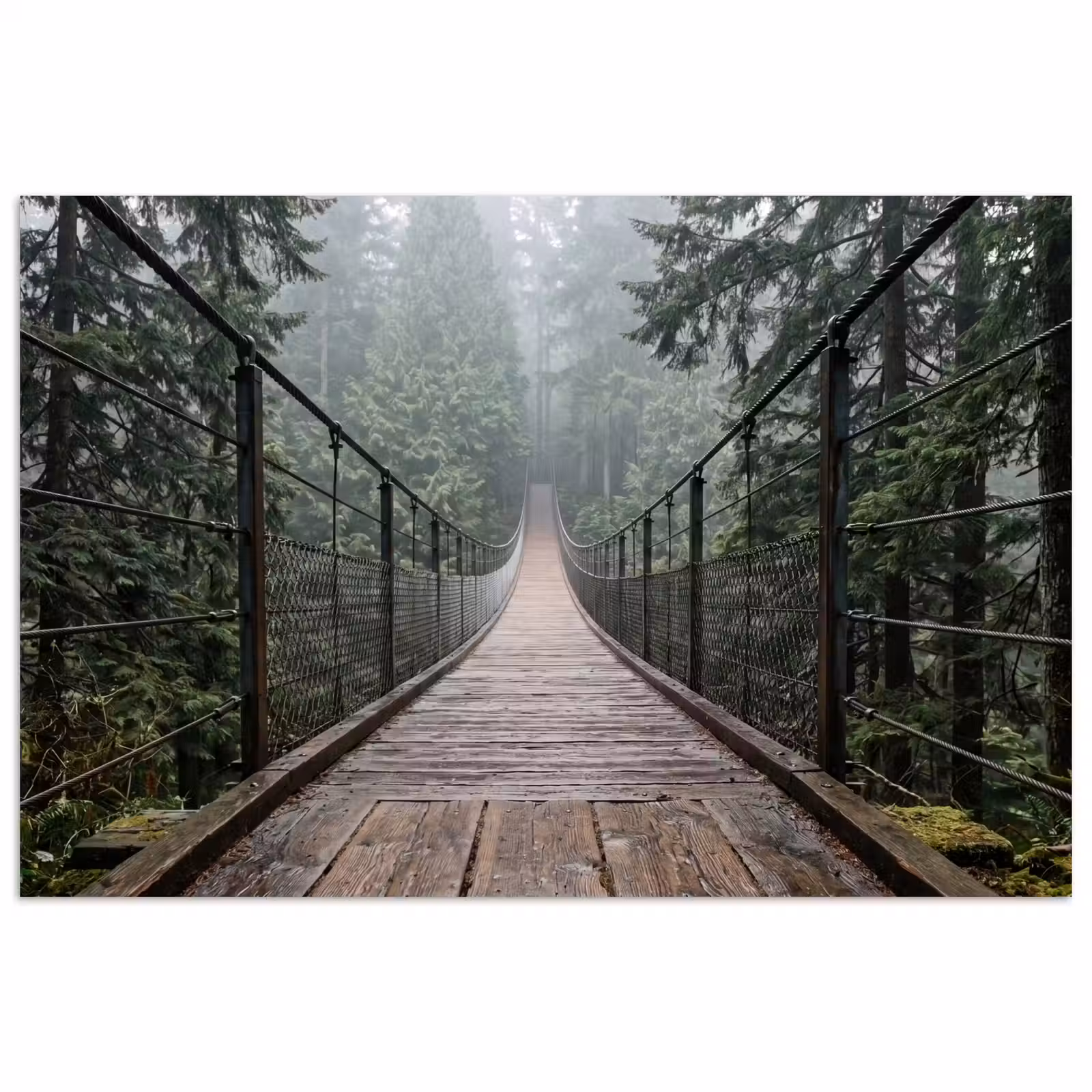 Poster - Brug - Bos - Mist - Natuur — 1