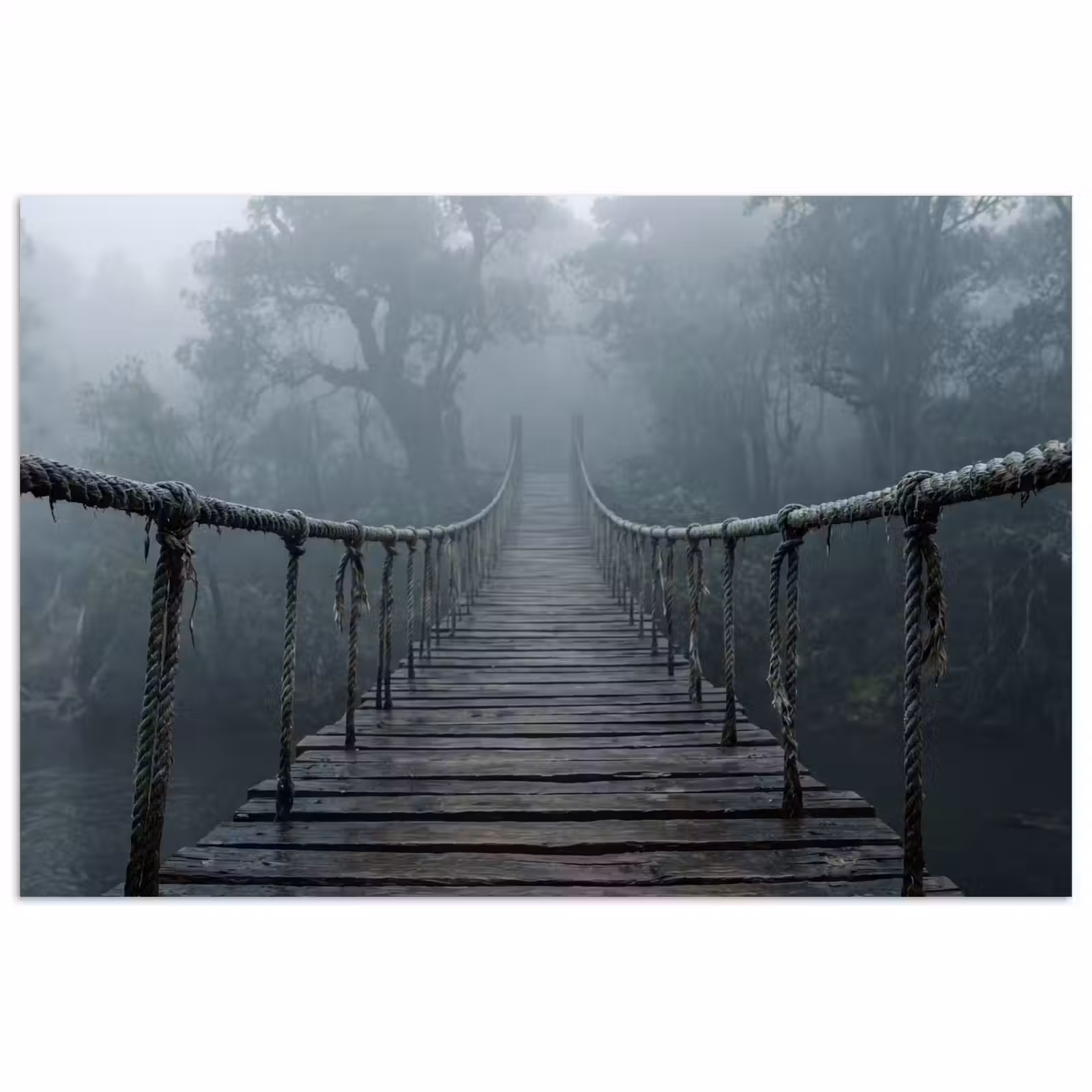 Poster - Brug - Jungle - Mist - Natuur — 1