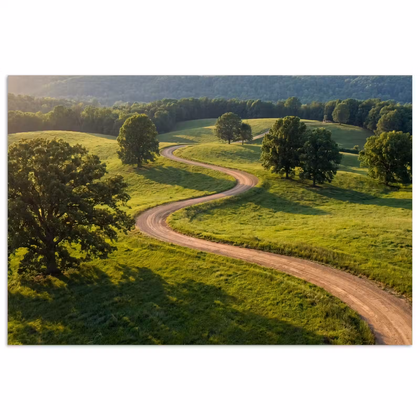 Poster - Weg - Weide - Natuur - Groen — 1