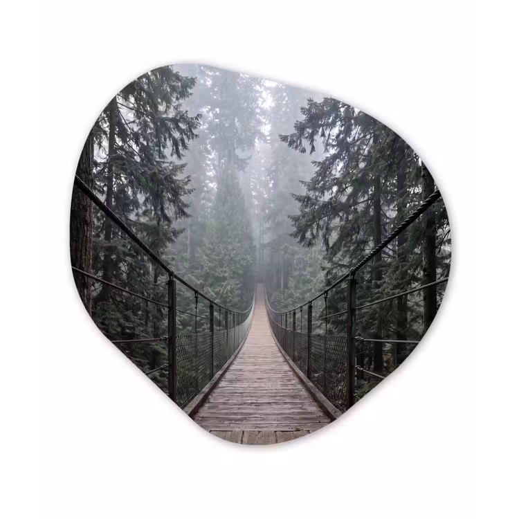 Organische schilderij - Aluminium - Brug - Bos - Mist - Natuur — 1
