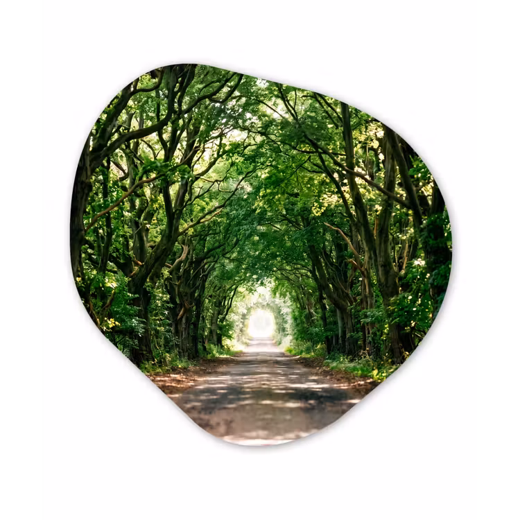 Organische schilderij - Aluminium - Weg - Bomen - Natuur - Groen — 1