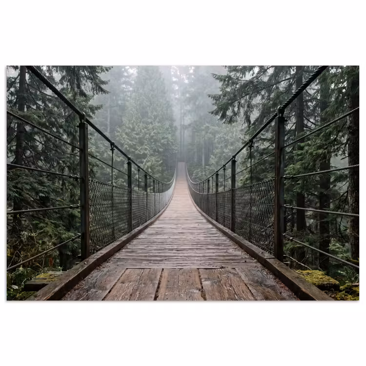 Poster - Brug - Bos - Mist - Natuur — 1
