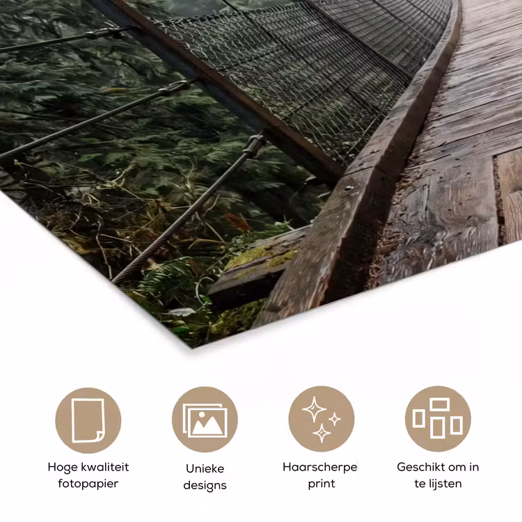Poster - Brug - Bos - Mist - Natuur — 5