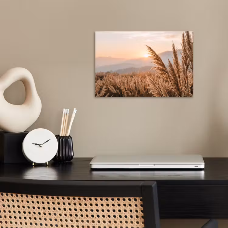Poster - Gras - Veld - Zon - Natuur — 2