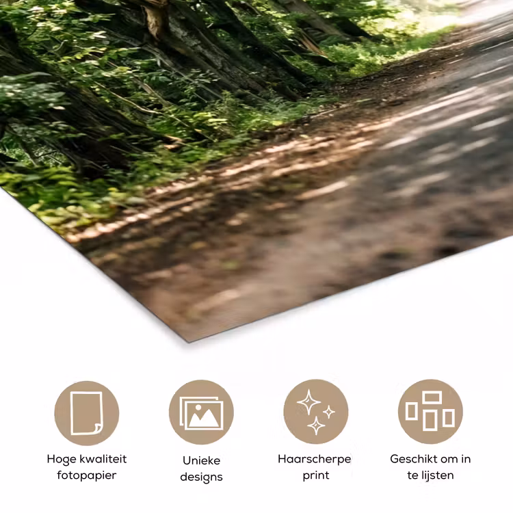 Poster - Weg - Bomen - Natuur - Groen — 5