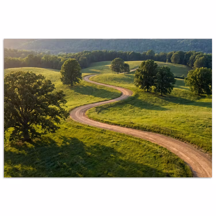 Poster - Weg - Weide - Natuur - Groen — 1