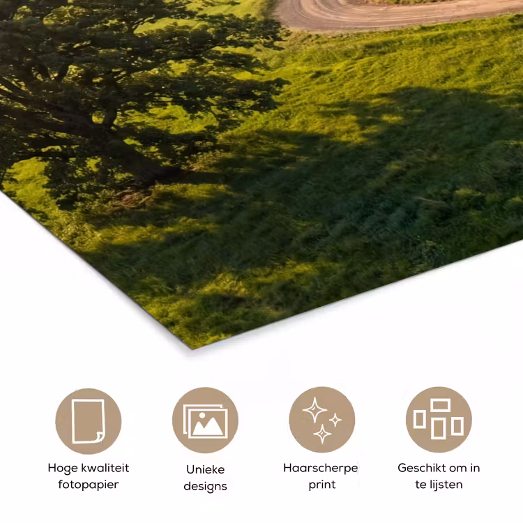 Poster - Weg - Weide - Natuur - Groen — 5