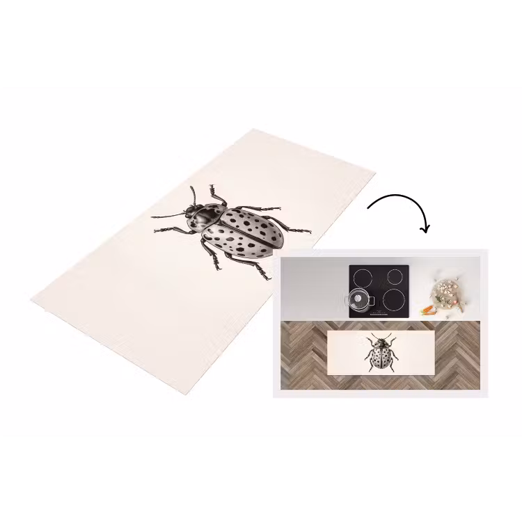 Keukenloper - Kever - Insect - Vintage — 1