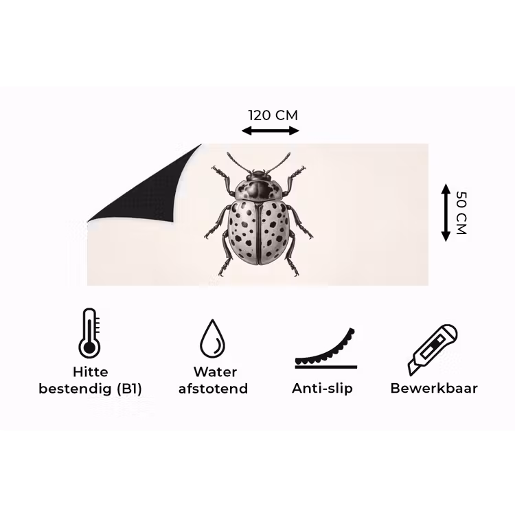 Keukenloper - Kever - Insect - Vintage — 5