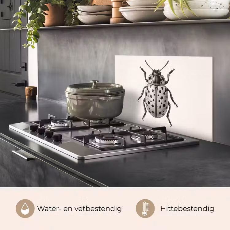 Spatscherm keuken - Kever - Insect - Vintage — 7