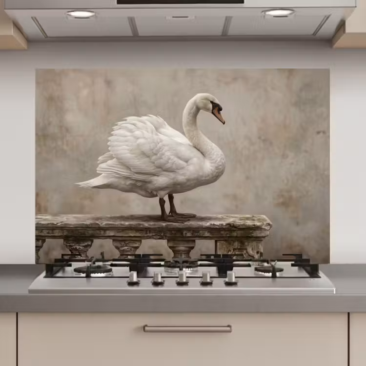 Spatscherm keuken - Zwaan - Elegant - Dieren - Wit — 1