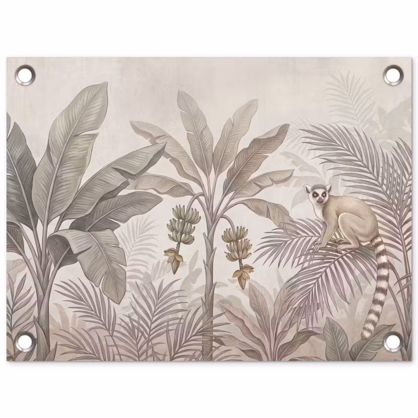 Tuinposter - Natuur - Jungle - Ringstaartmaki - Bruin — 1