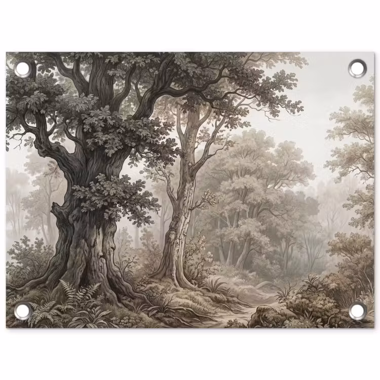 Tuinposter - Natuur - Bos - Eik — 1
